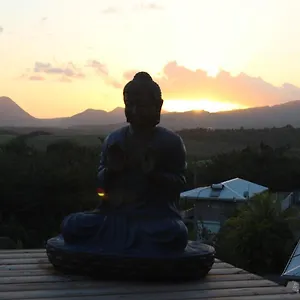 Buddha Bleu Sainte-Luce